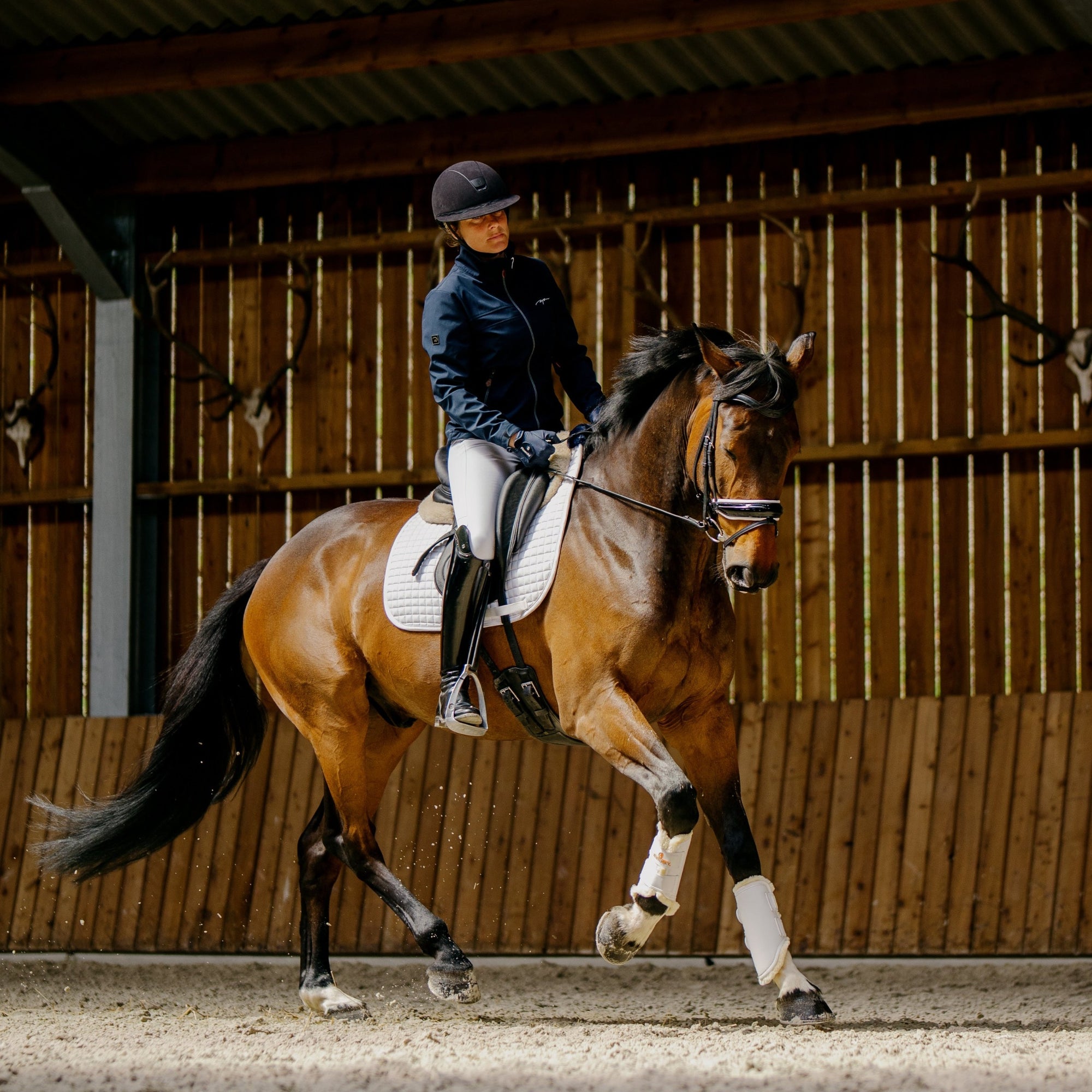 Dy&#39;on Patent Noseband Bridle With White Padding and Flash, Black