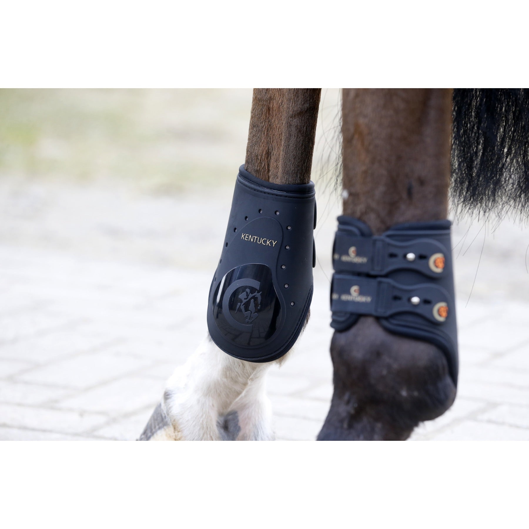 Kentucky Horsewear Fetlock Boots Elastic, Black