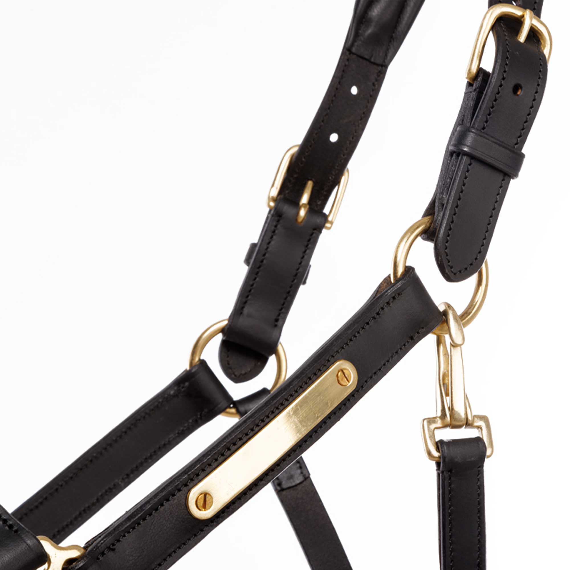 Kavalkade Cinta Leather Halter, Black with Brass