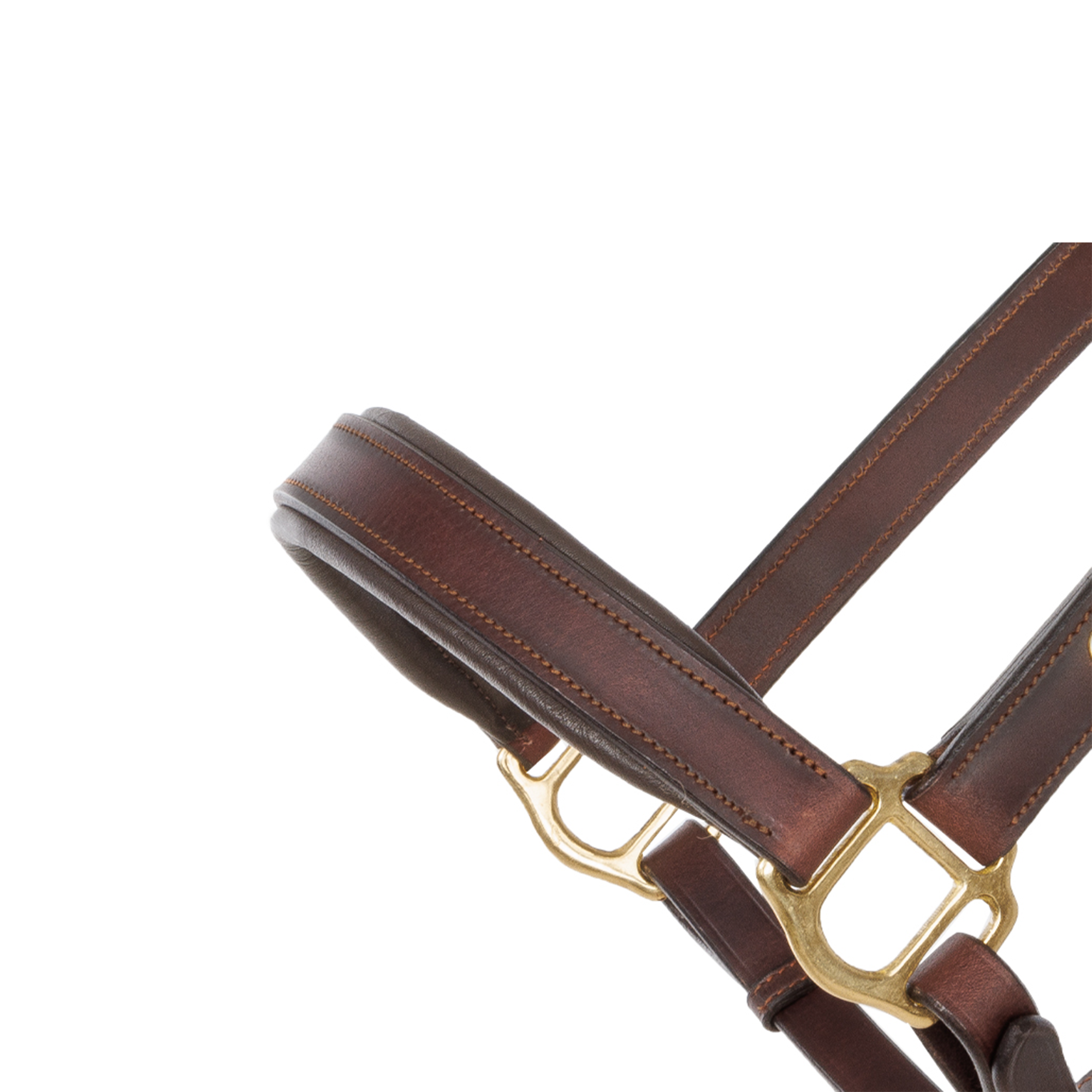 Kavalkade Cinta Leather Halter, Brown with Brass