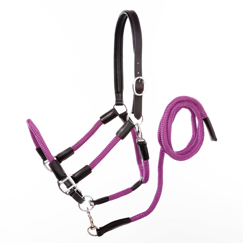 Kavalkade Cavo Rope Halter Set with Lead, Black / Purple