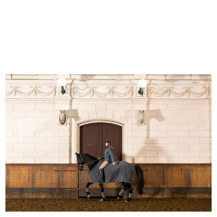 BR Equestrian Tendon Boots Majestic Djoy, Dark Slate
