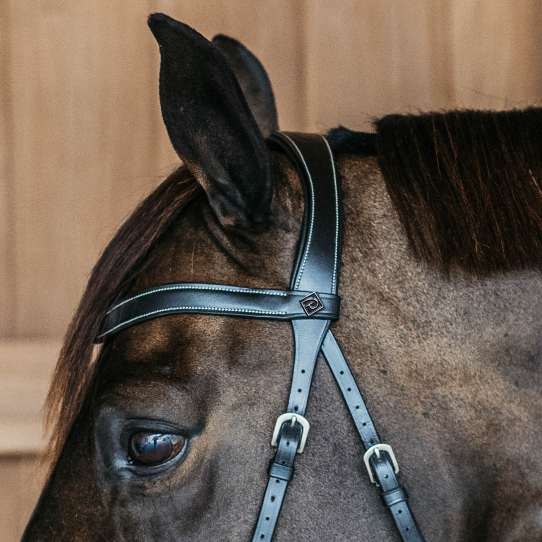 Dy'on Bitless Bridle, Working by Dy'on, Black