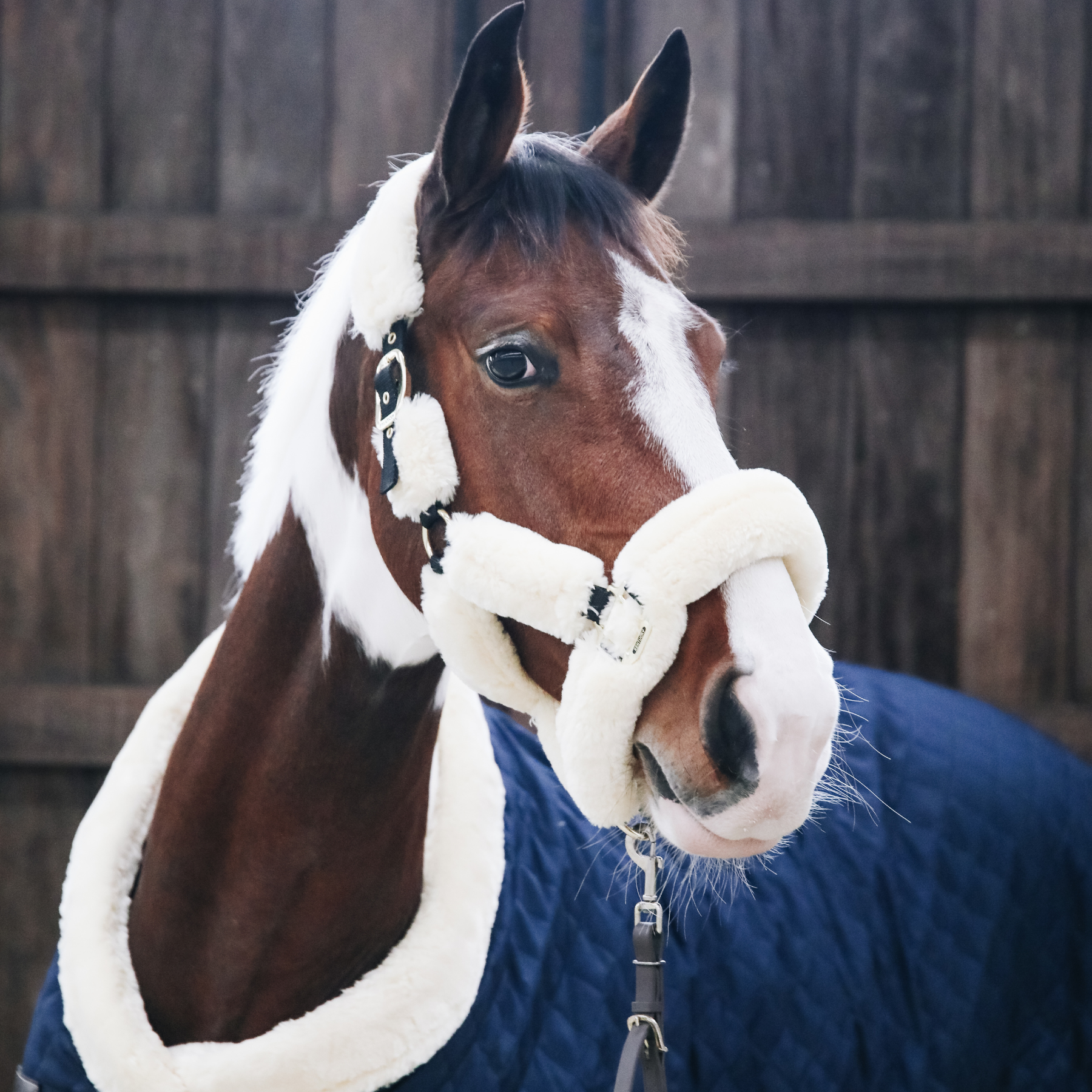 Kentucky Horsewear Sheepskin Shipping Halter, Natural