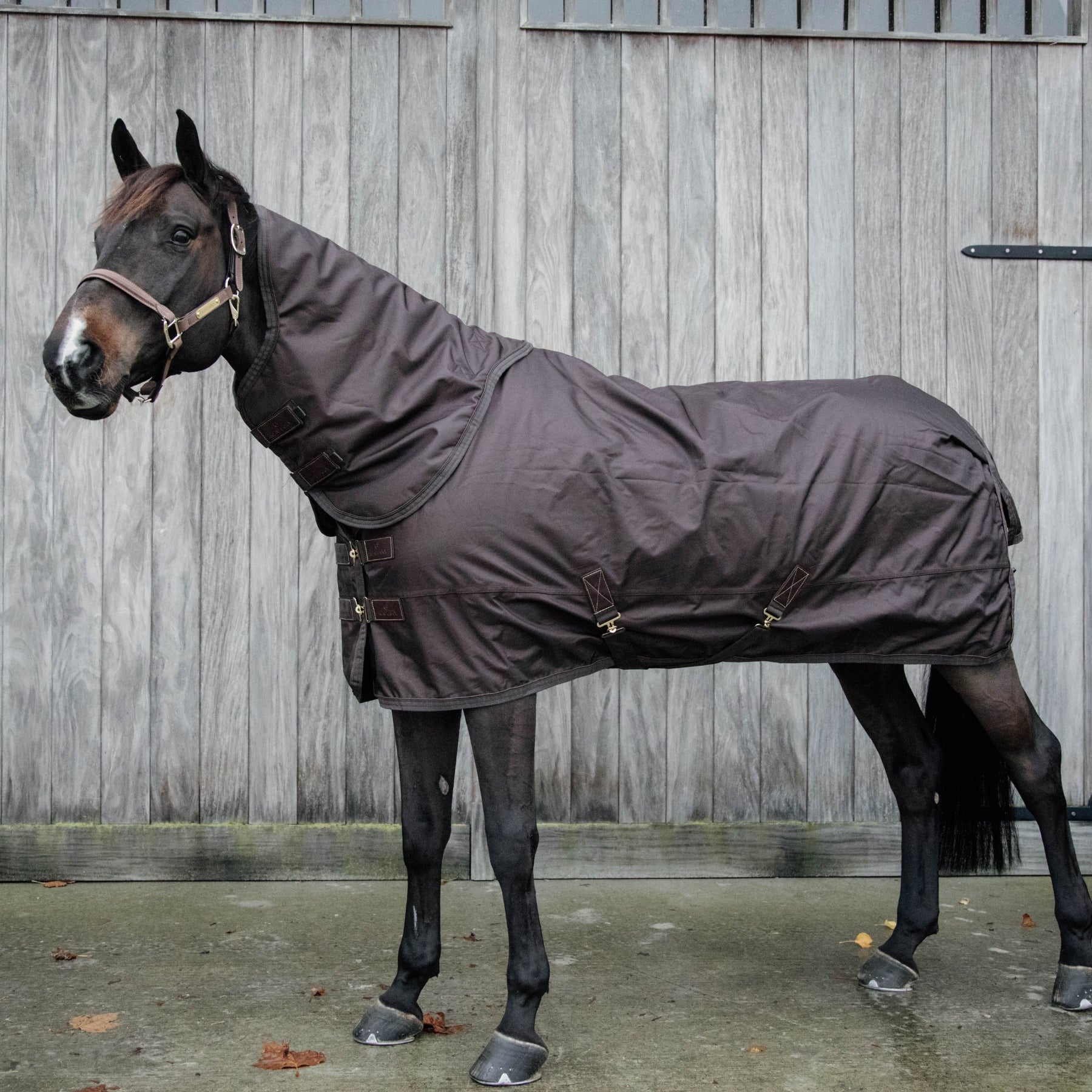 Kentucky Horsewear Turnout Rug All Weather Waterproof Pro 160g, Brown