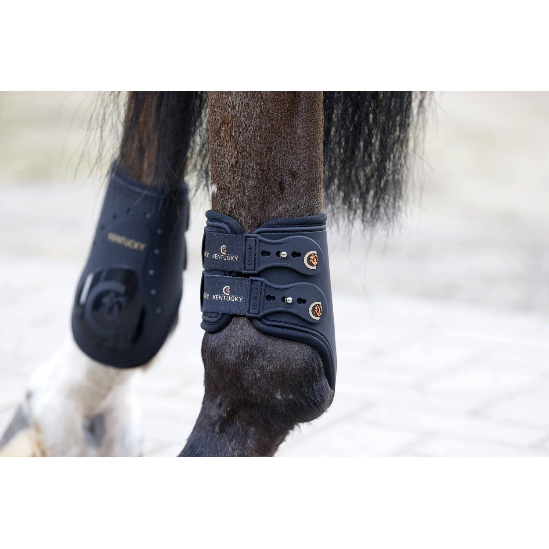 Kentucky Horsewear Fetlock Boots Elastic, Black