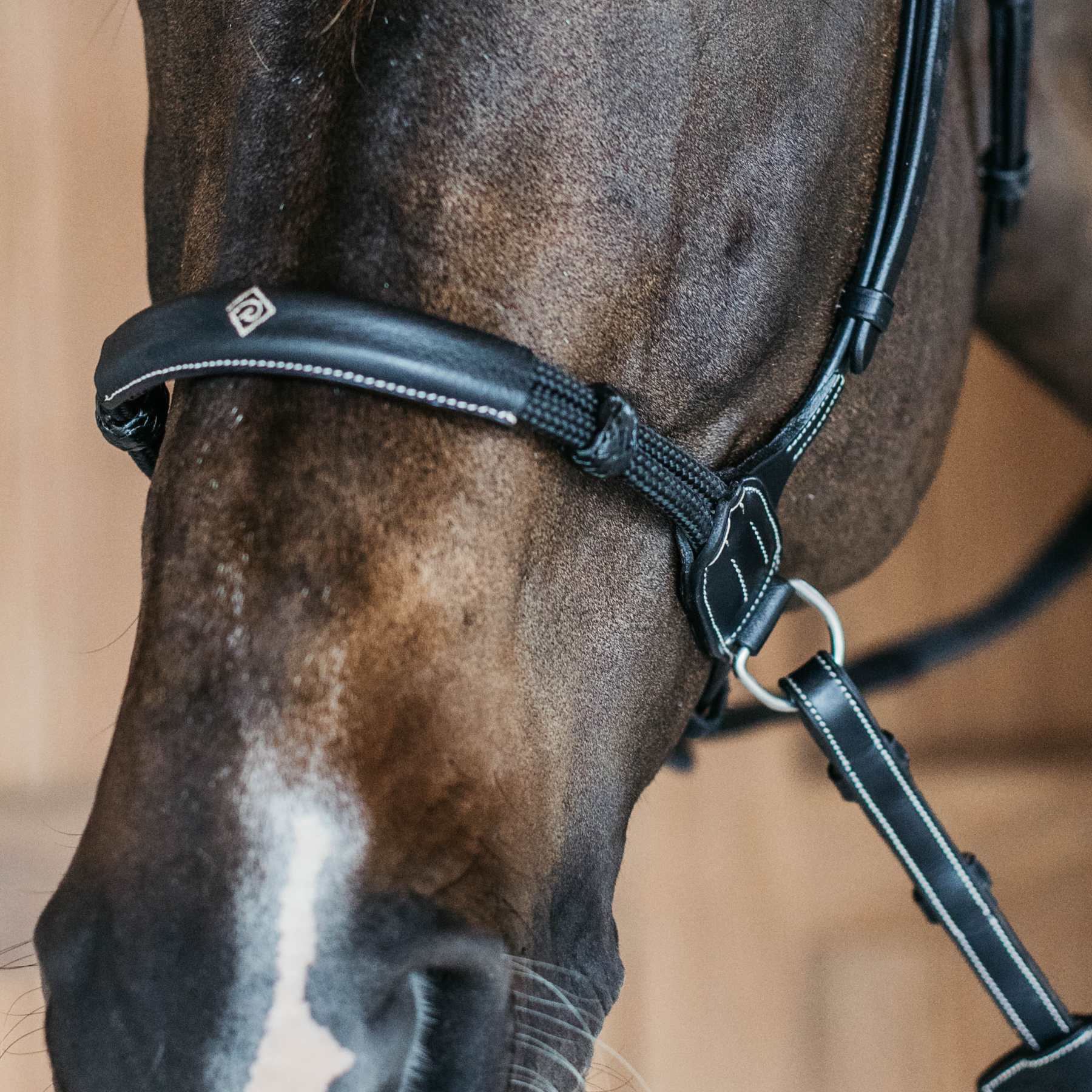 Dy&#39;on Bitless Bridle, Working by Dy&#39;on, Black