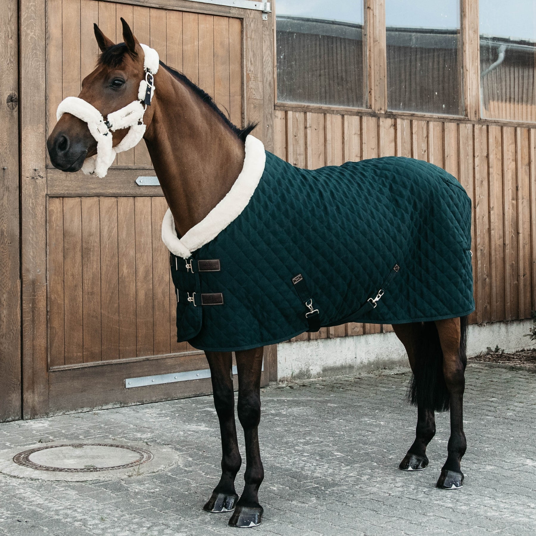 Kentucky Horsewear Show Rug, Dark Green