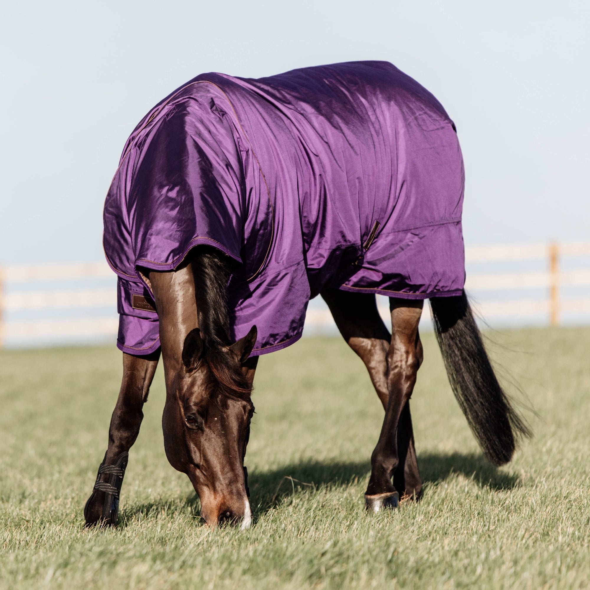 Kentucky Horsewear Turnout Rug All Weather Waterproof Pro 160g, Royal Purple