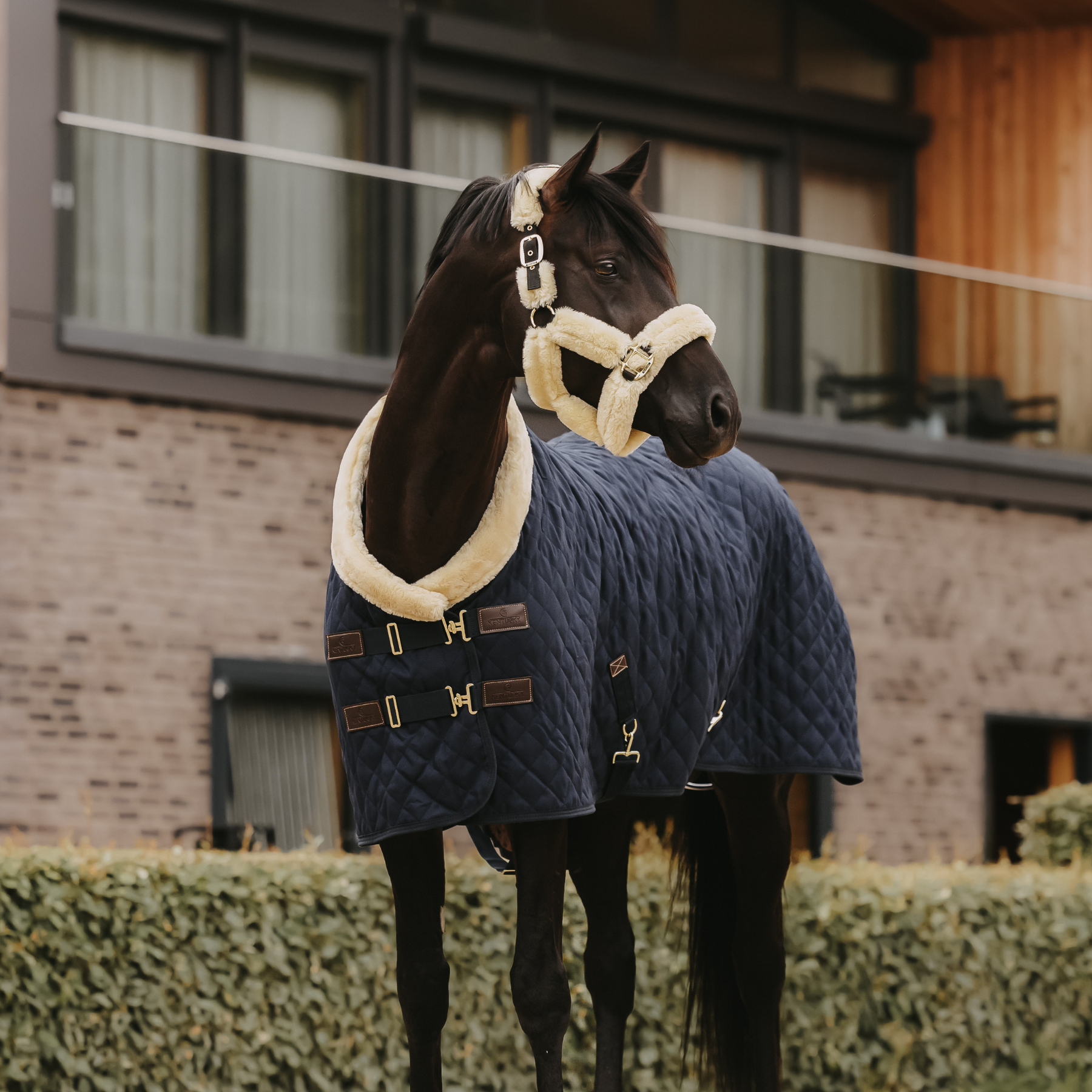 Kentucky Horsewear Sheepskin Shipping Halter, Natural