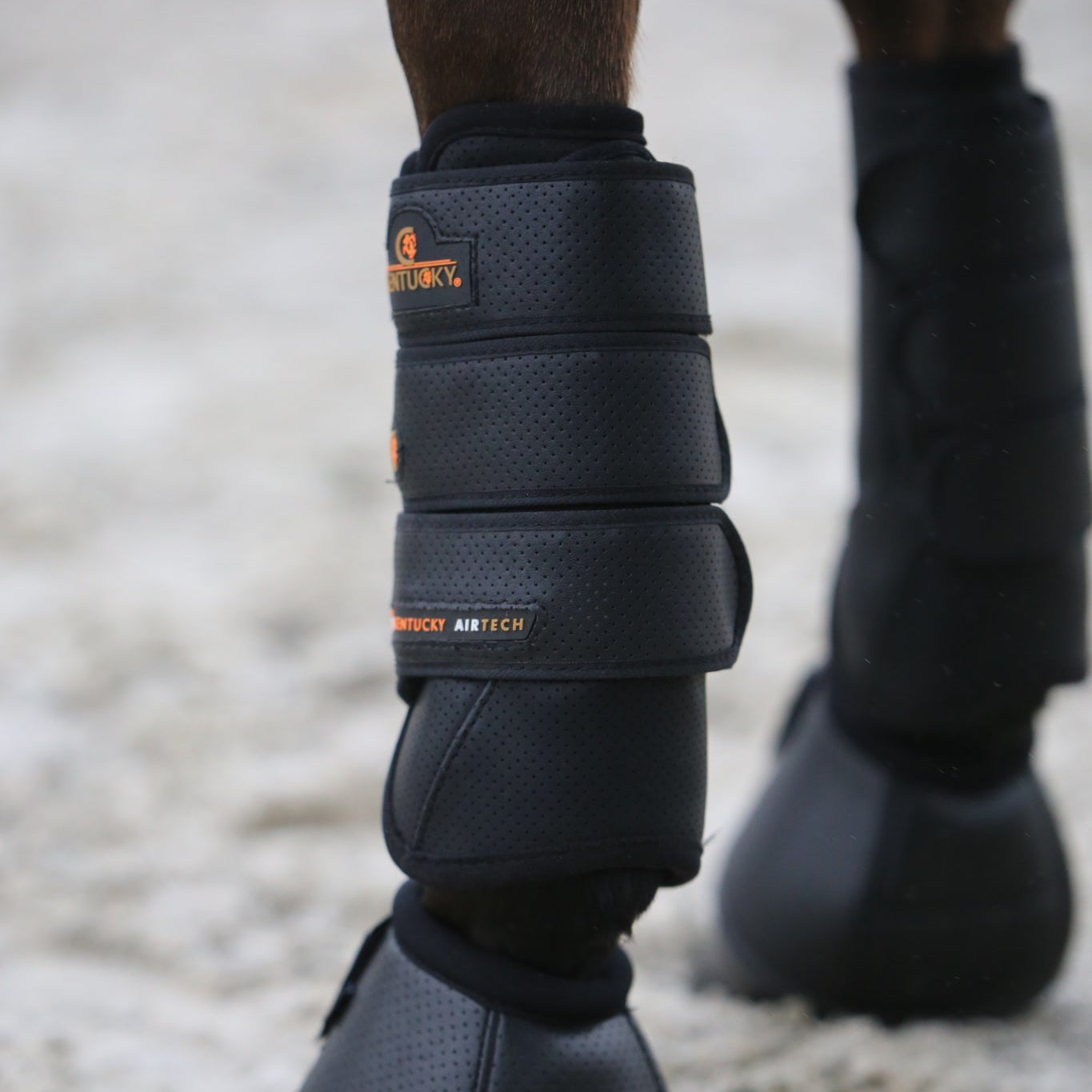 Kentucky Horsewear Eventing Boot Air Tech Front, Black