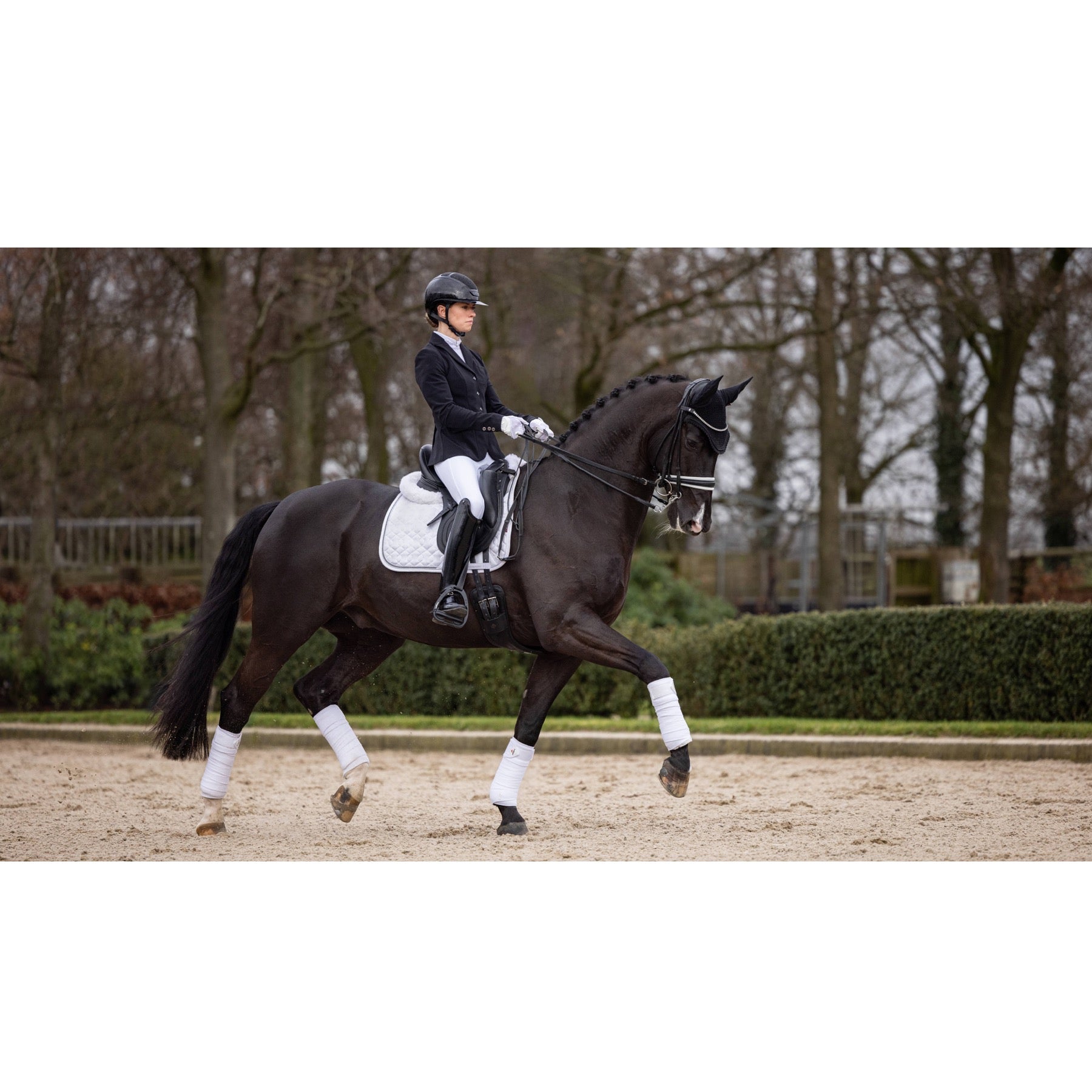 LeMieux Crystal Suede Dressage Saddle Pad, White