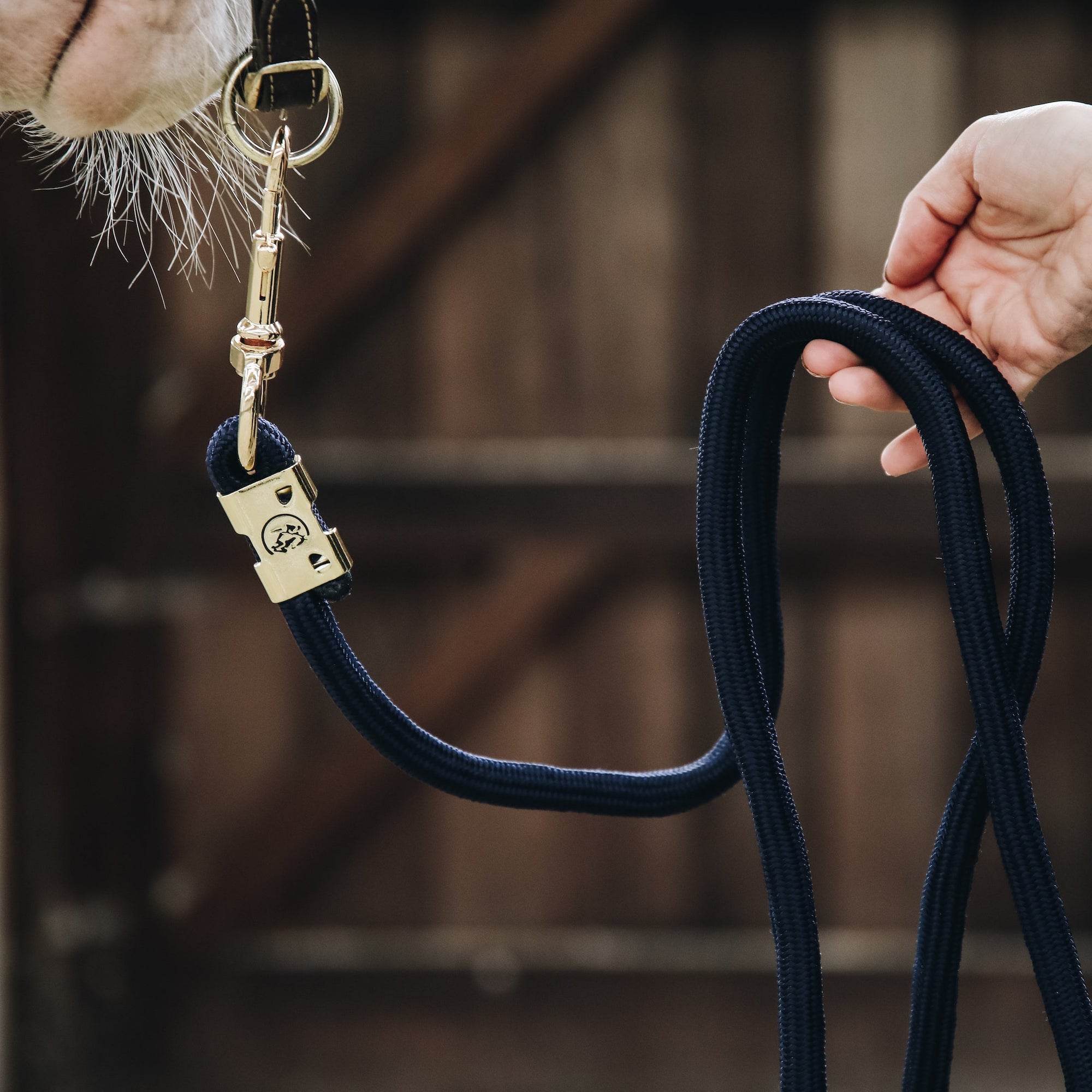 Kentucky Horsewear Lead Rope Basic, Navy