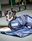 Back on Track Cool on Track Dog Coat, Blue