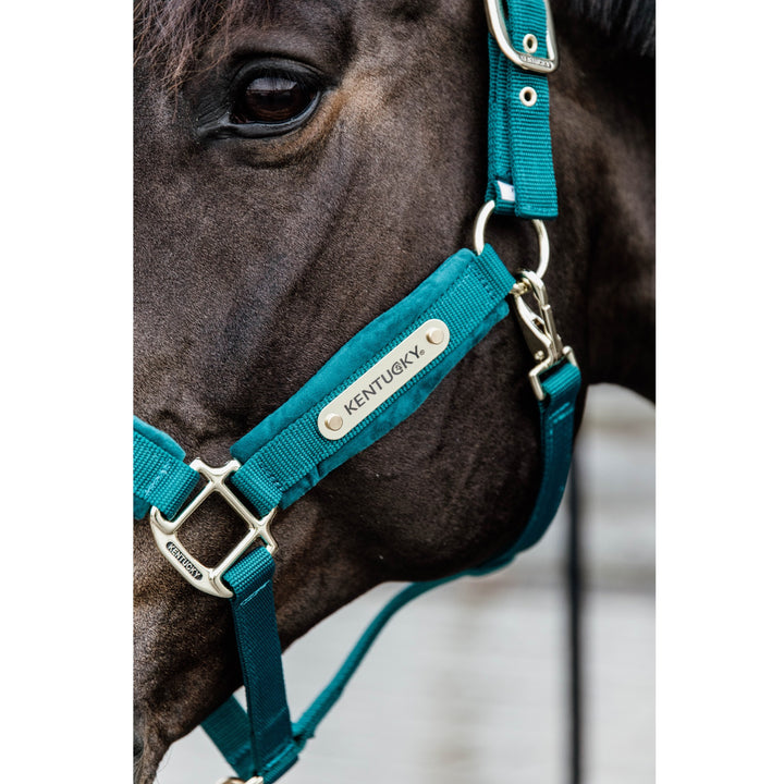 Kentucky Horsewear Velvet Halter, Emerald