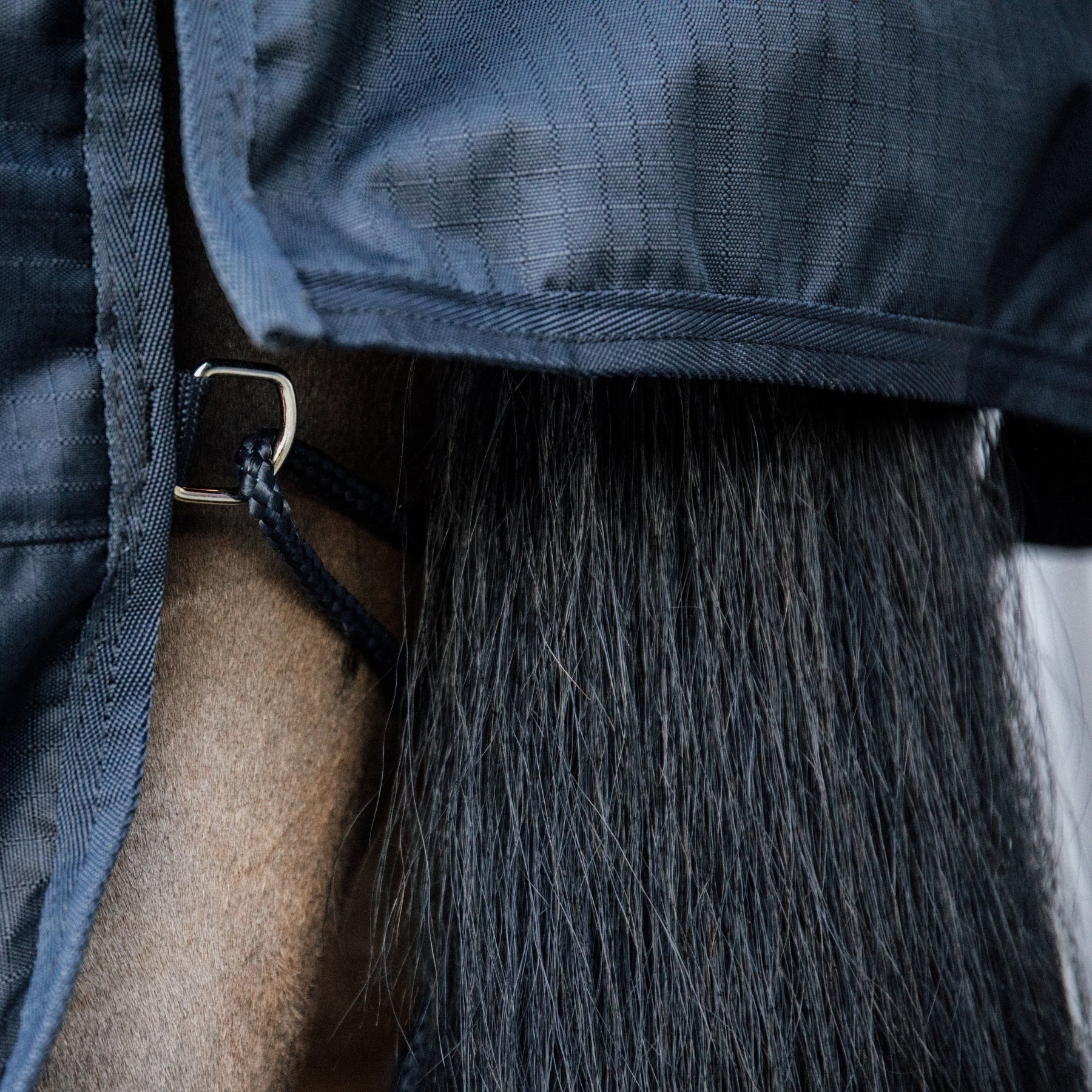 Kentucky Horsewear Turnout Rug All Weather Waterproof Classic 50G