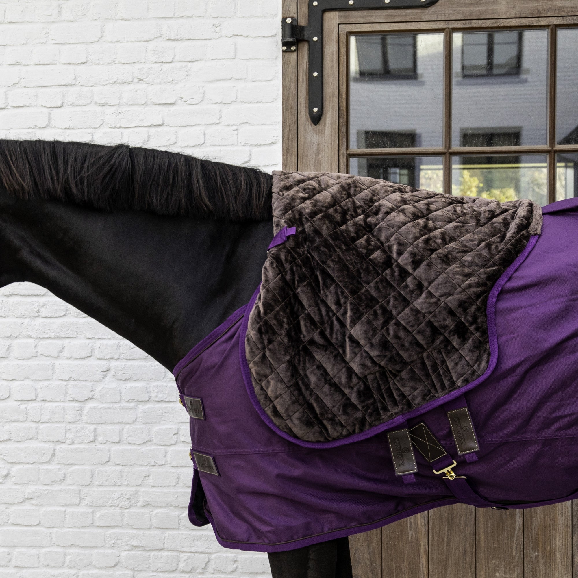 Kentucky Horsewear Turnout Rug All Weather Waterproof Pro 160g, Royal Purple