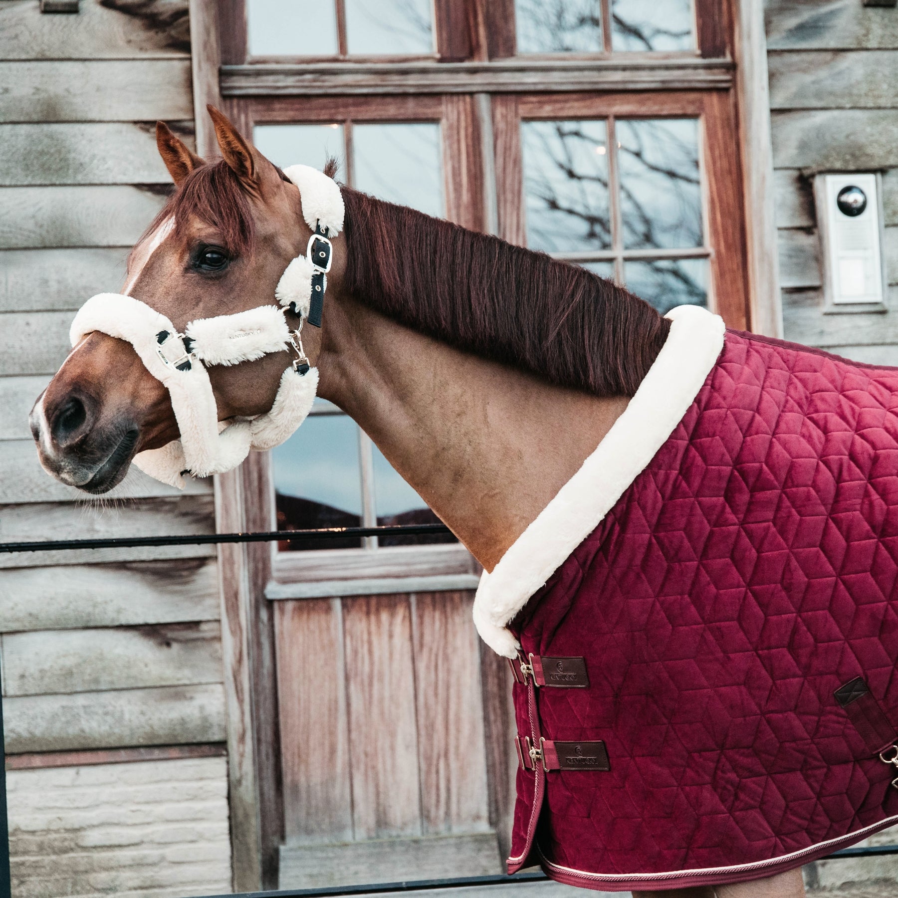 Kentucky Horsewear Show Rug Velvet 160g, Bordeaux