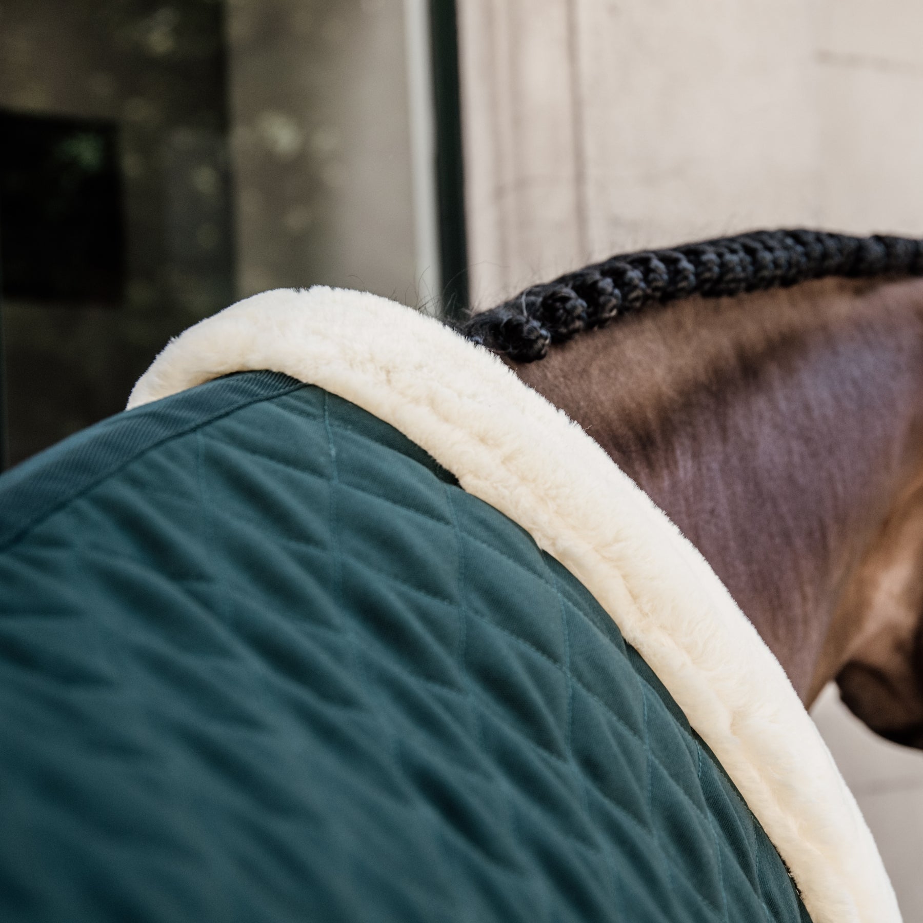 Kentucky Horsewear Show Rug, Dark Green