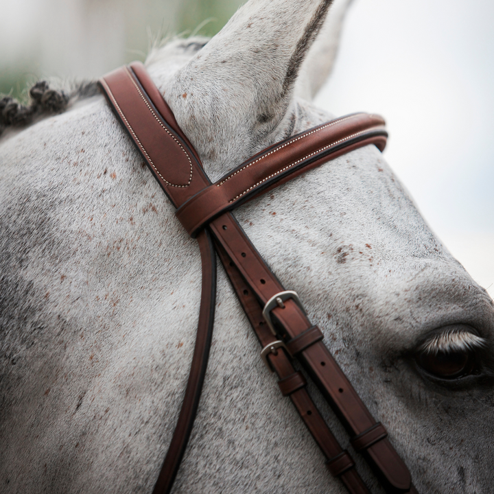 ADT Tack Imperial Bridle w/Raised Fancy Laced Reins, Brown