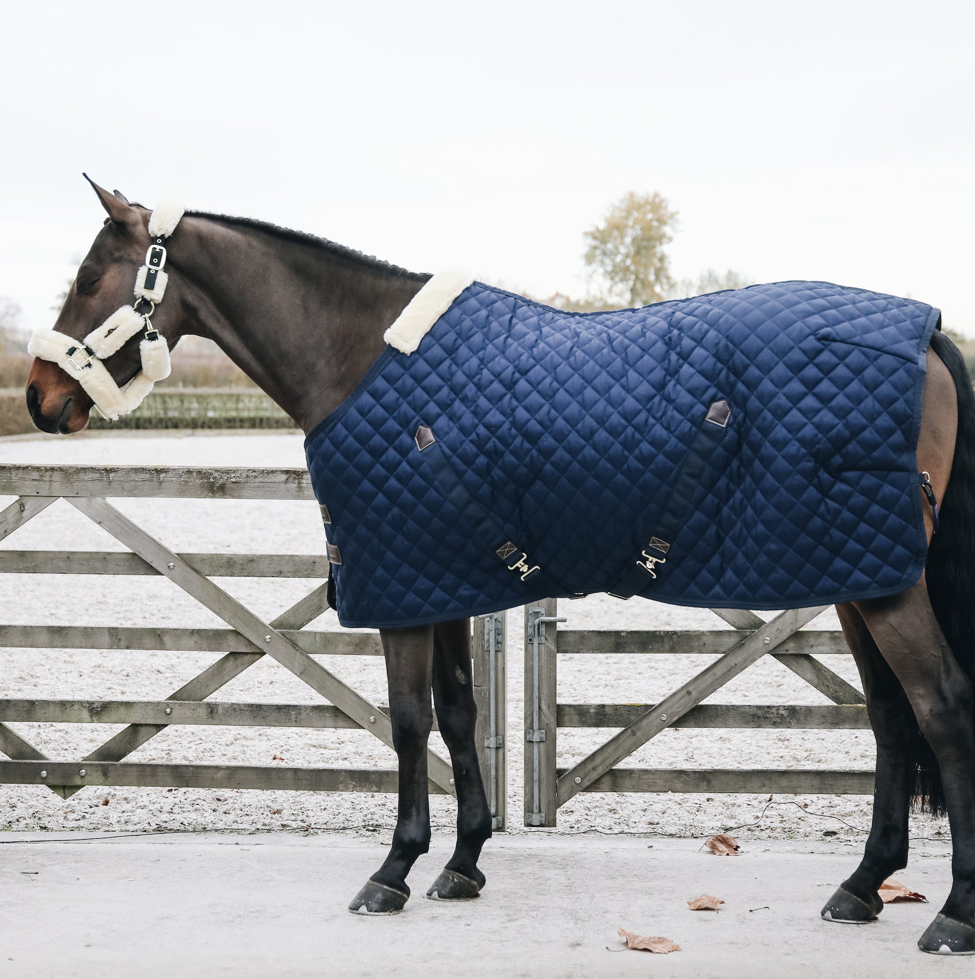 Kentucky Horsewear Stable Rug, Navy