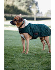 Kentucky Dog Coat, Green