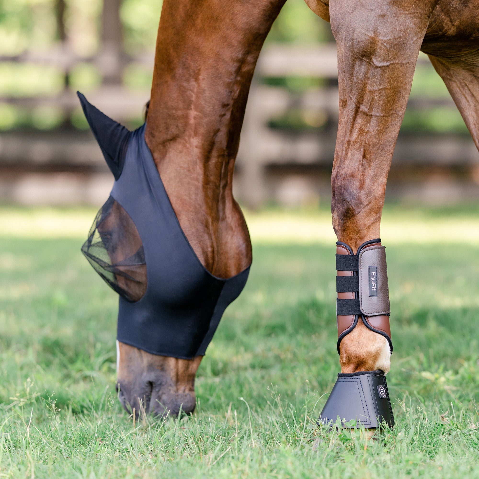 Equifit Essential Fly Mask