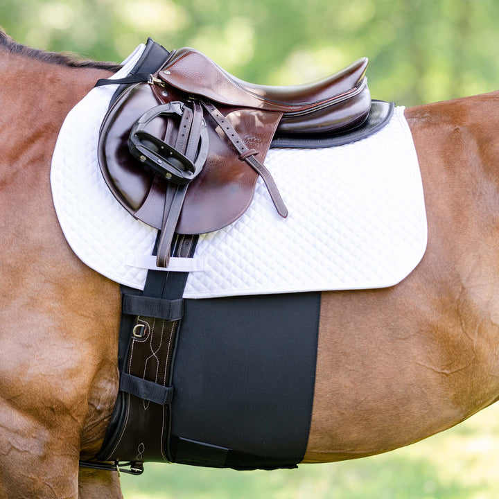 Equifit Belly Band Plus+