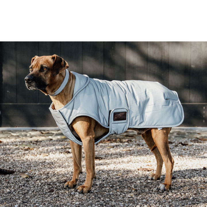 Kentucky Dog Coat Reflective & Water Repellent Belly Cover, Silver