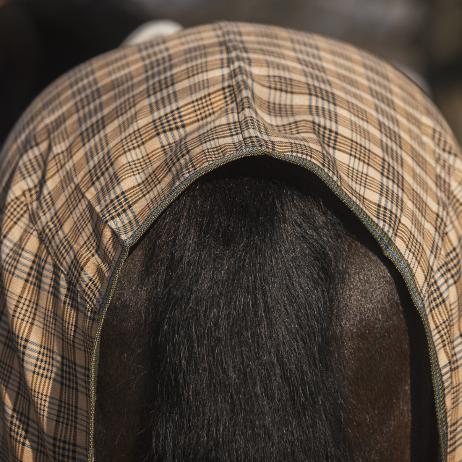 5/A Baker® Stable Sheet Deluxe