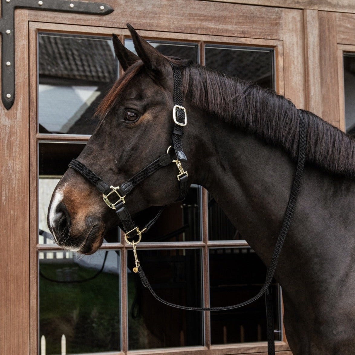 Kentucky Horsewear Plaited Nylon Halter, Black