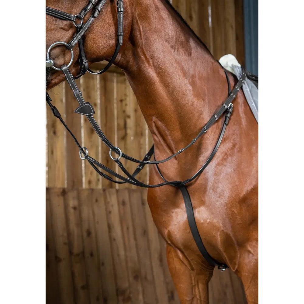 Dy'on Running Martingale, Black, Working By Dy'on