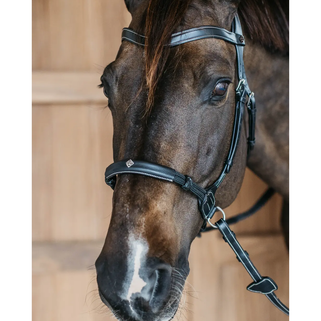 Dy'on Bitless Bridle, Working by Dy'on, Black