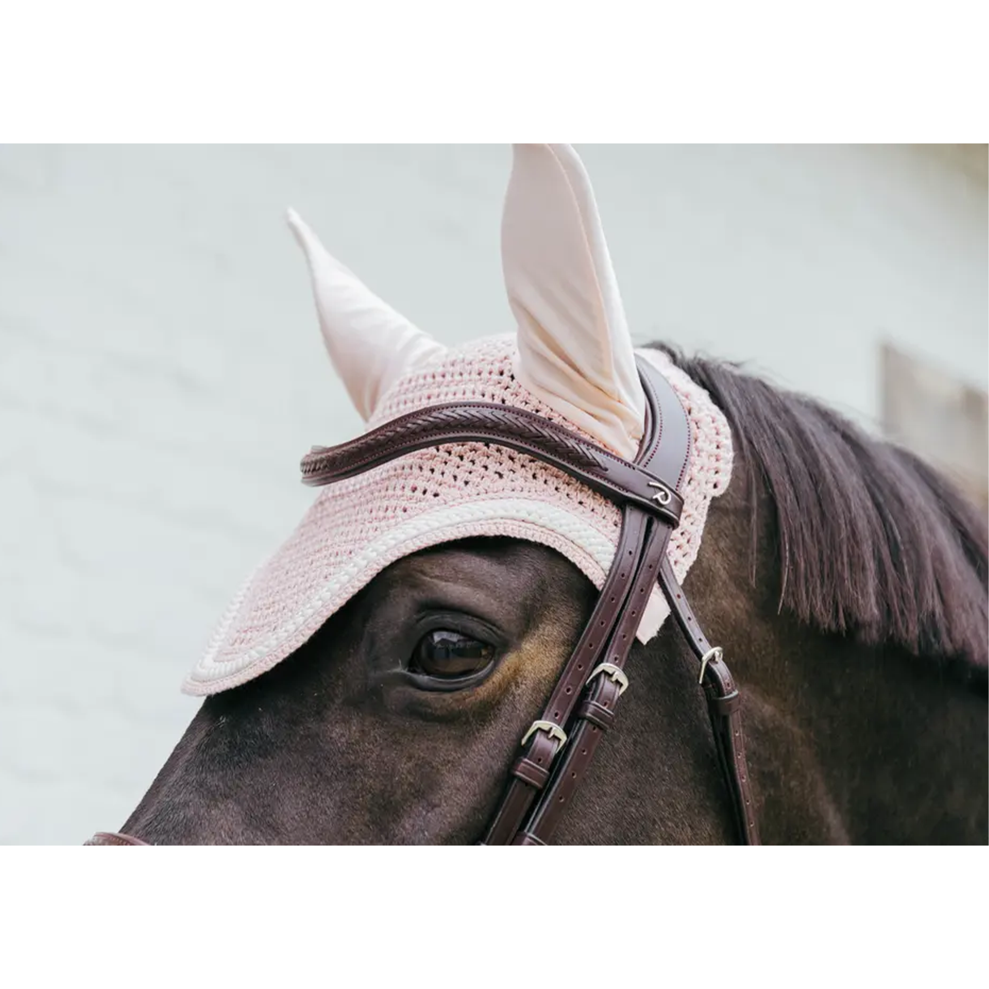 Kentucky Horsewear Fly Veil Wellington with Plaited Cord, Soft Rose