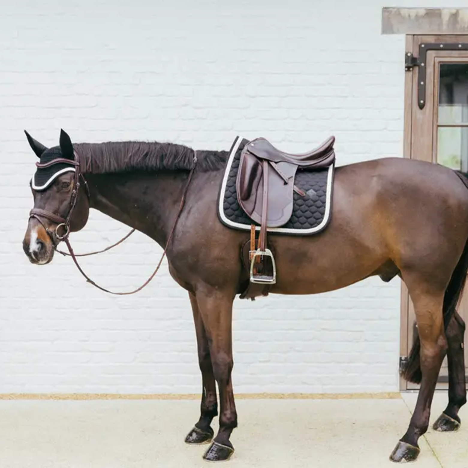 Kentucky Horsewear Dressage Saddle Pad with Plaited Cord, Black