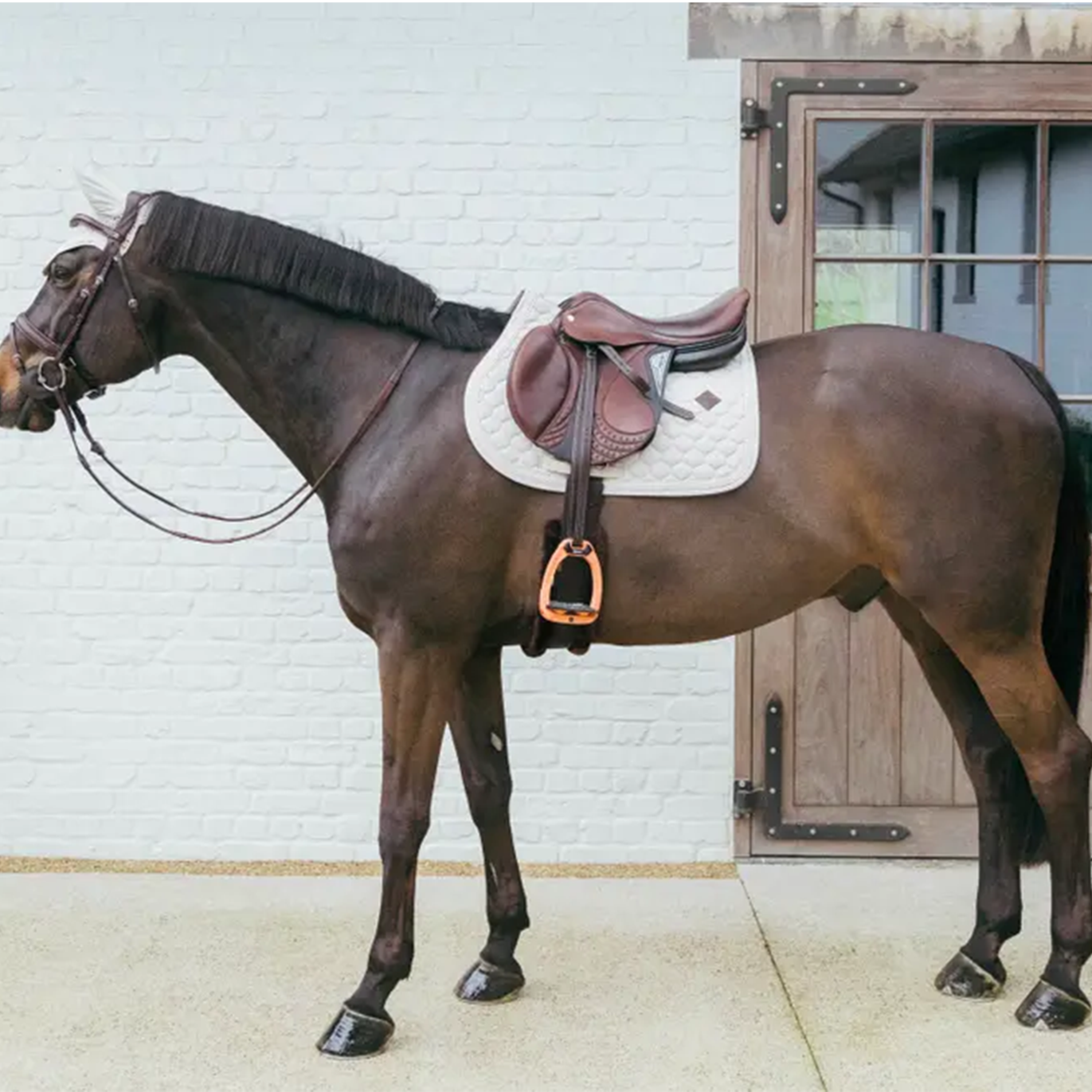 Kentucky Horsewear Dressage Saddle Pad with Plaited Cord, Beige