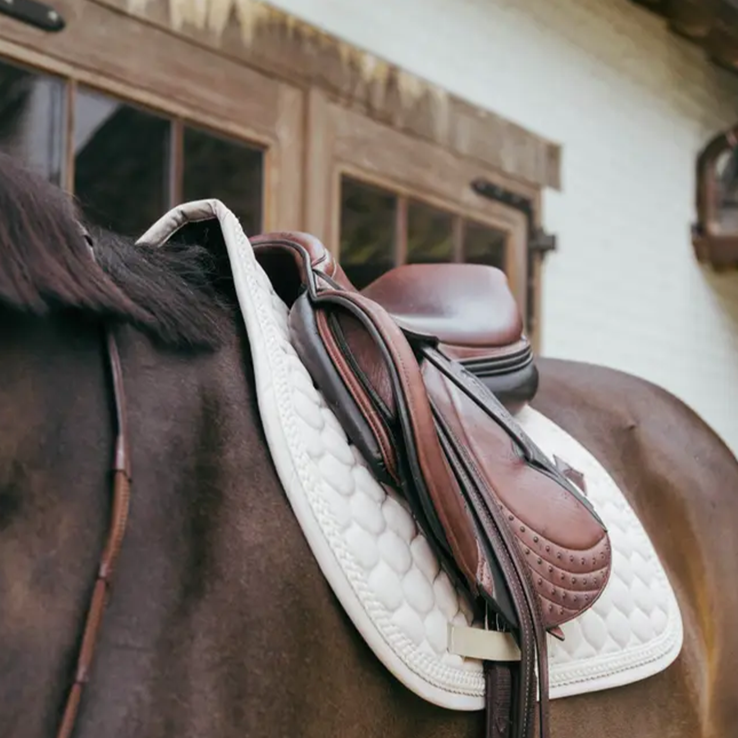 Kentucky Horsewear Show Jumping Saddle Pad with Plaited Cord, Beige