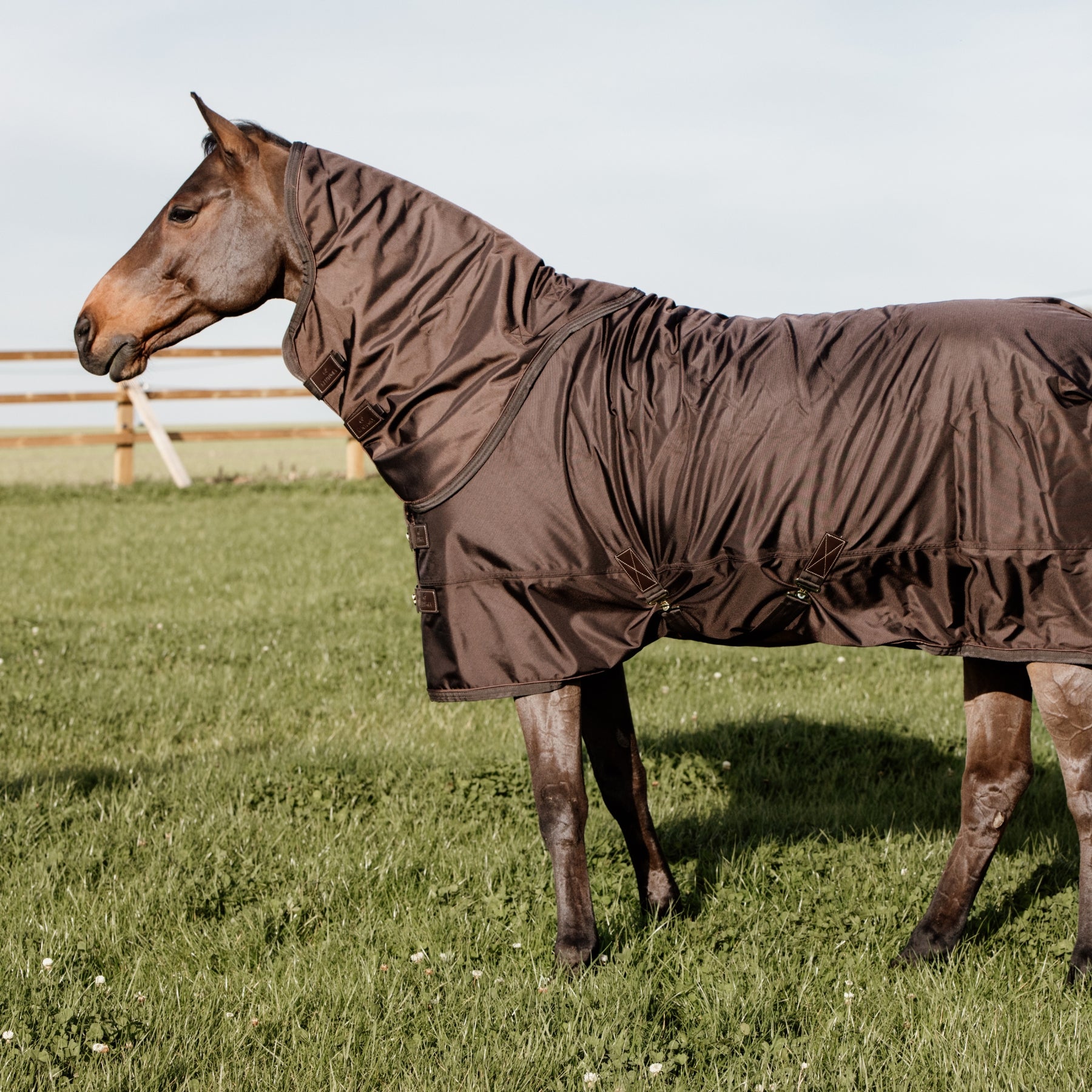 Kentucky Horsewear Turnout Rug All Weather Waterproof Pro 160g, Brown