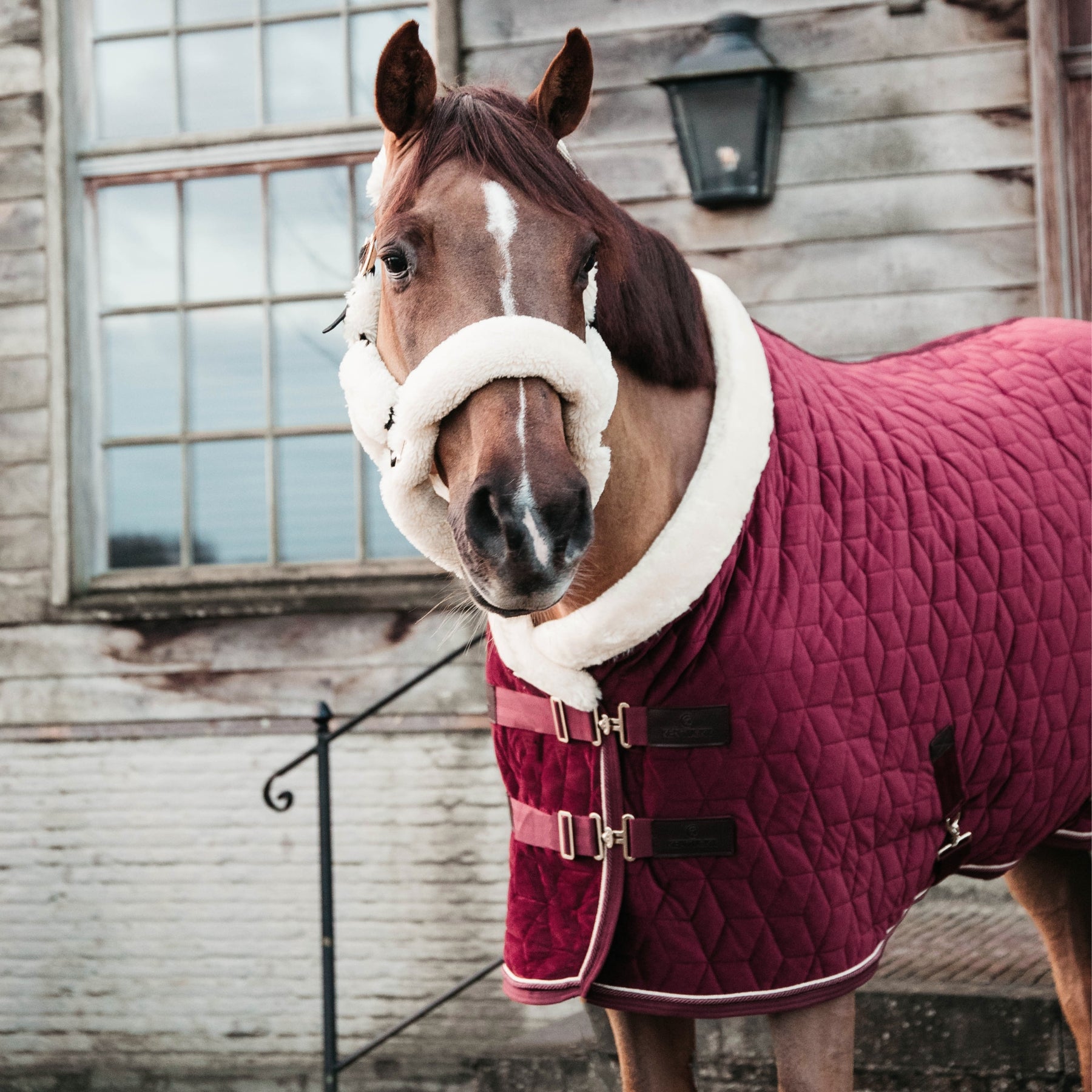 Kentucky Horsewear Show Rug Velvet 160g, Bordeaux