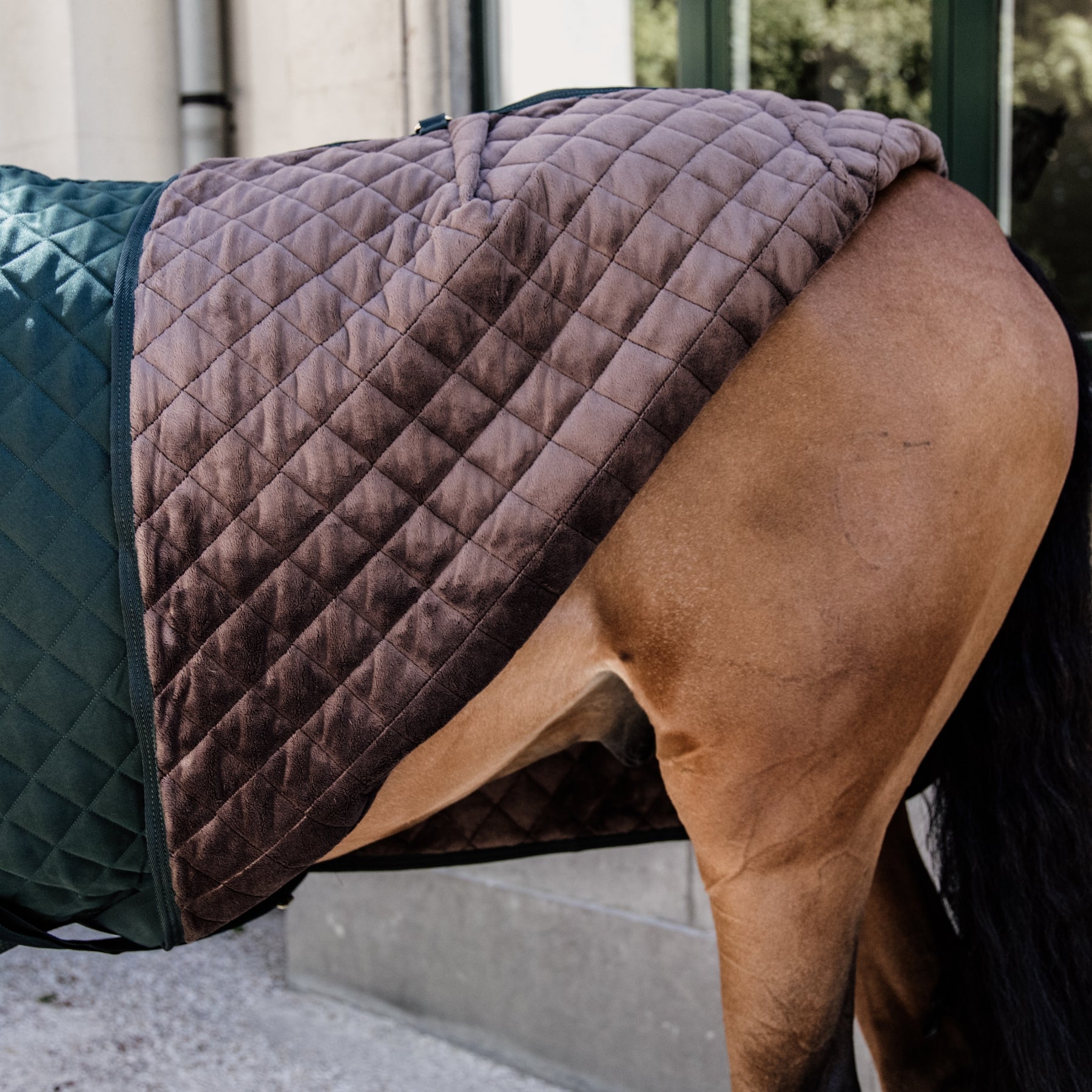 Kentucky Horsewear Show Rug, Dark Green