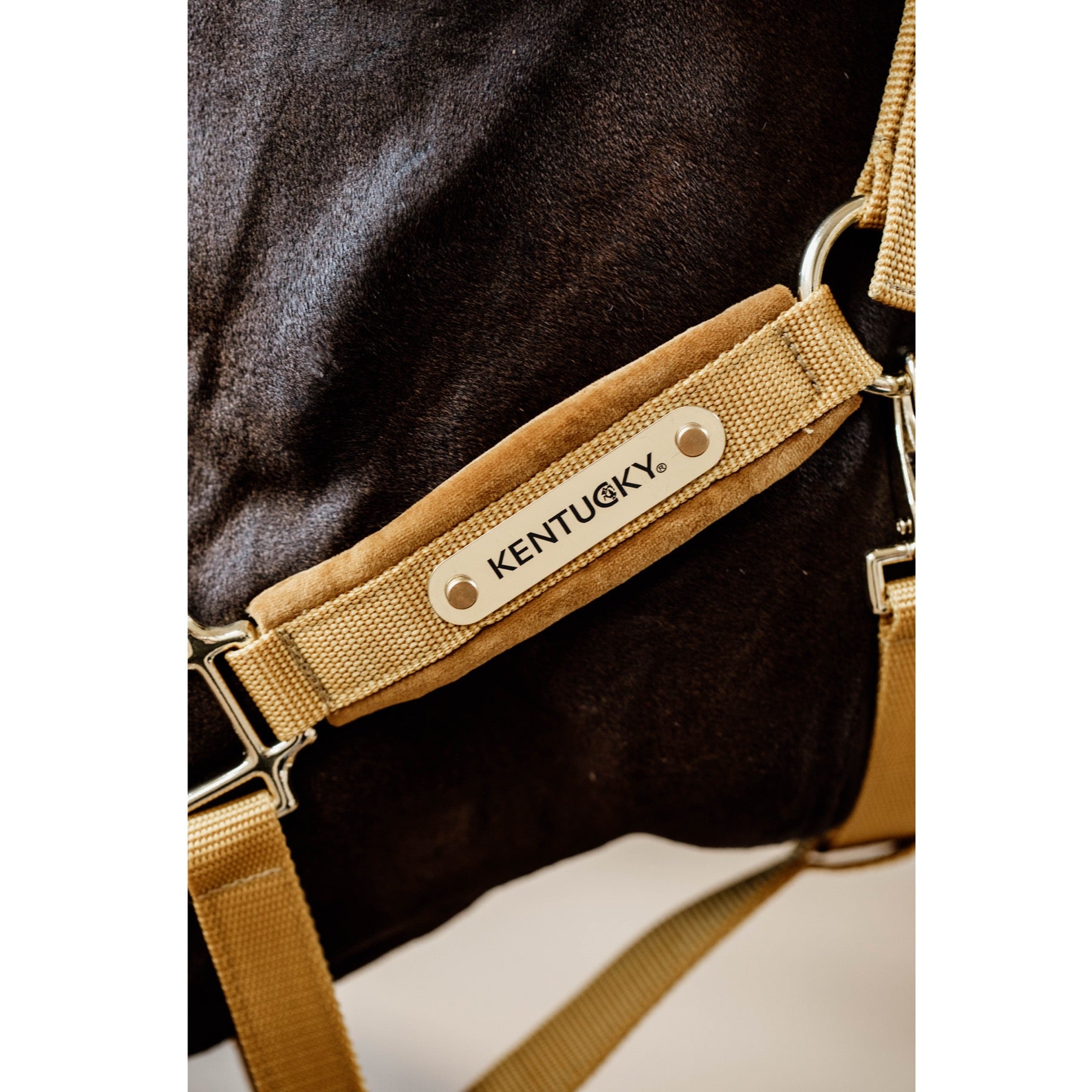 Kentucky Horsewear Velvet Halter, Mustard