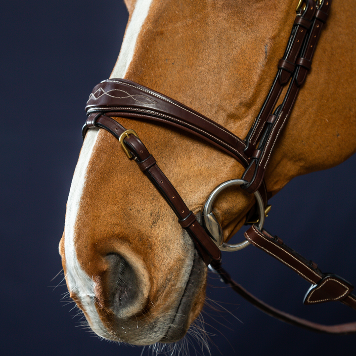 Dy'on Anatomic Flash Noseband Bridle, Brown, D Collection