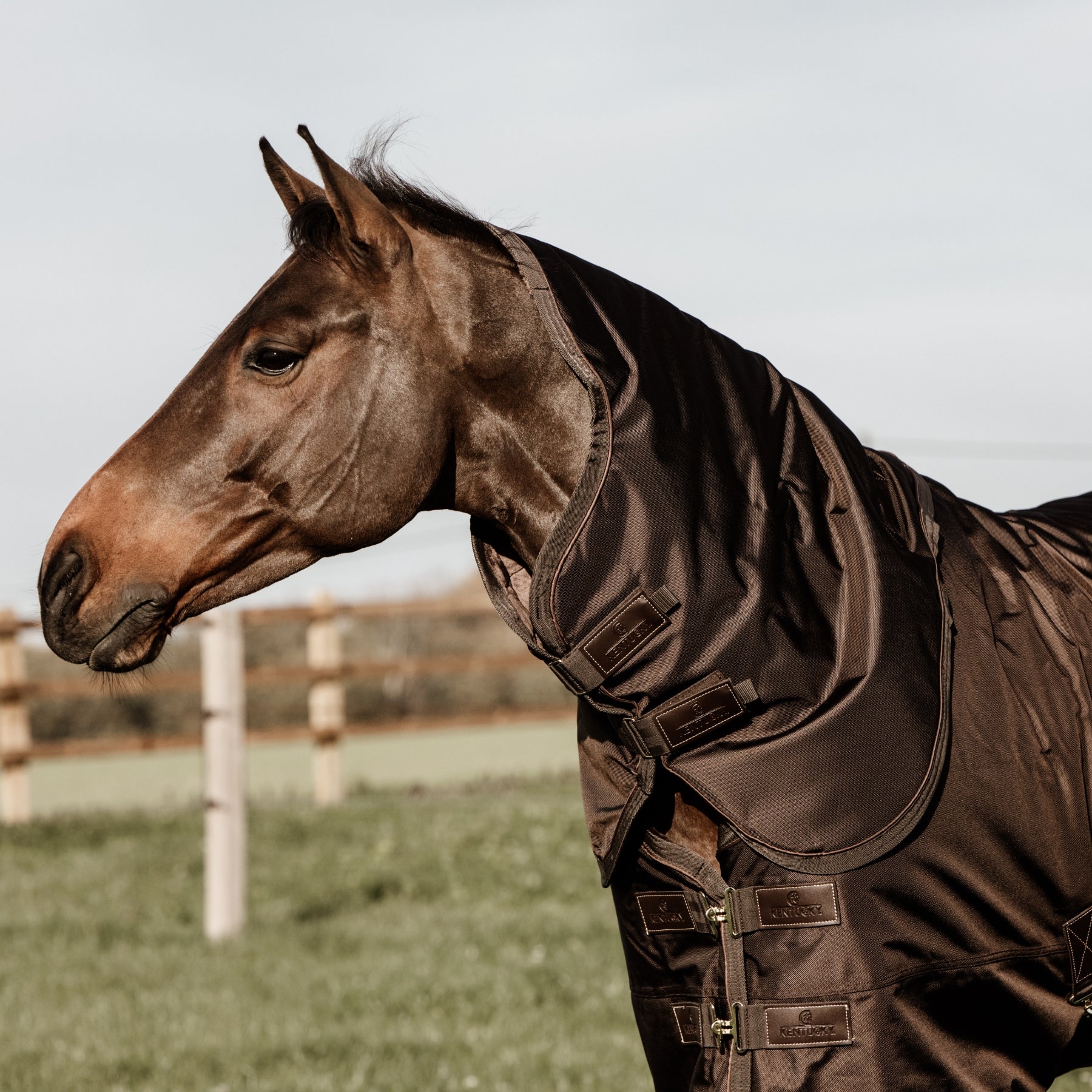 Kentucky Horsewear Turnout Rug All Weather Waterproof Pro 160g, Brown