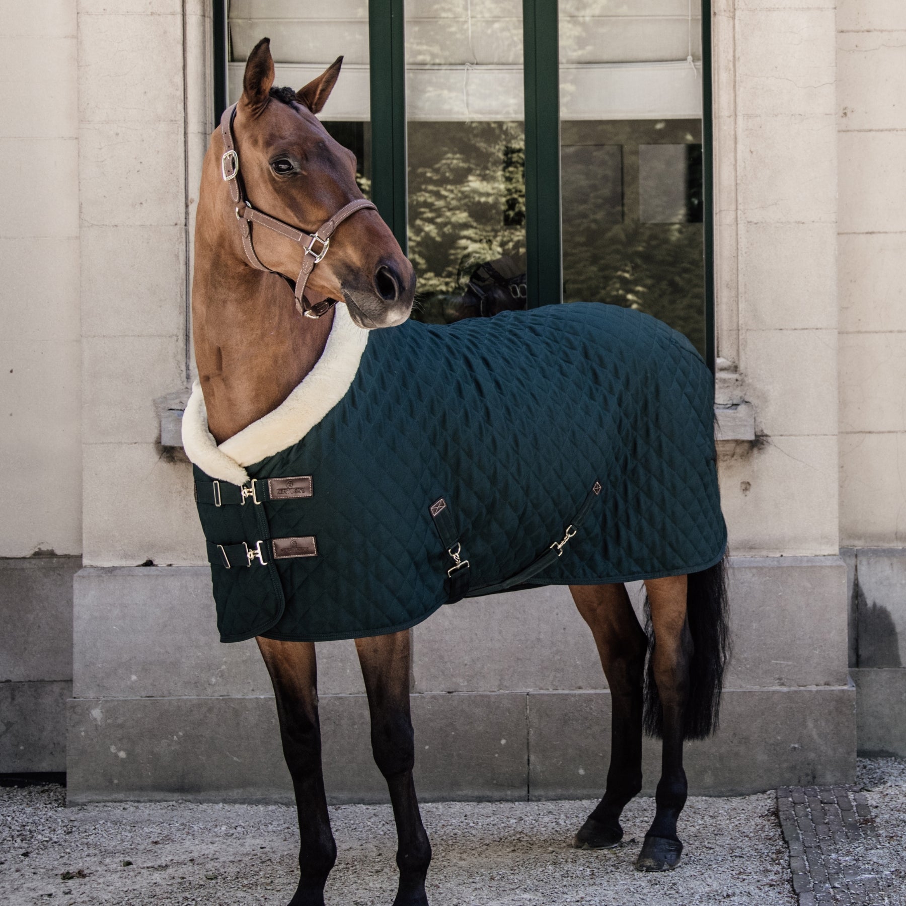 Kentucky Horsewear Show Rug, Dark Green