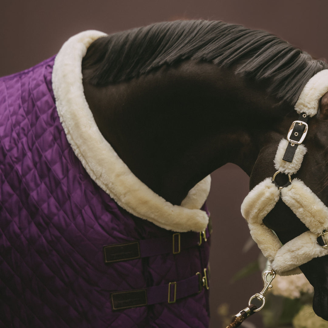 Kentucky Horsewear Show Rug, Royal Purple