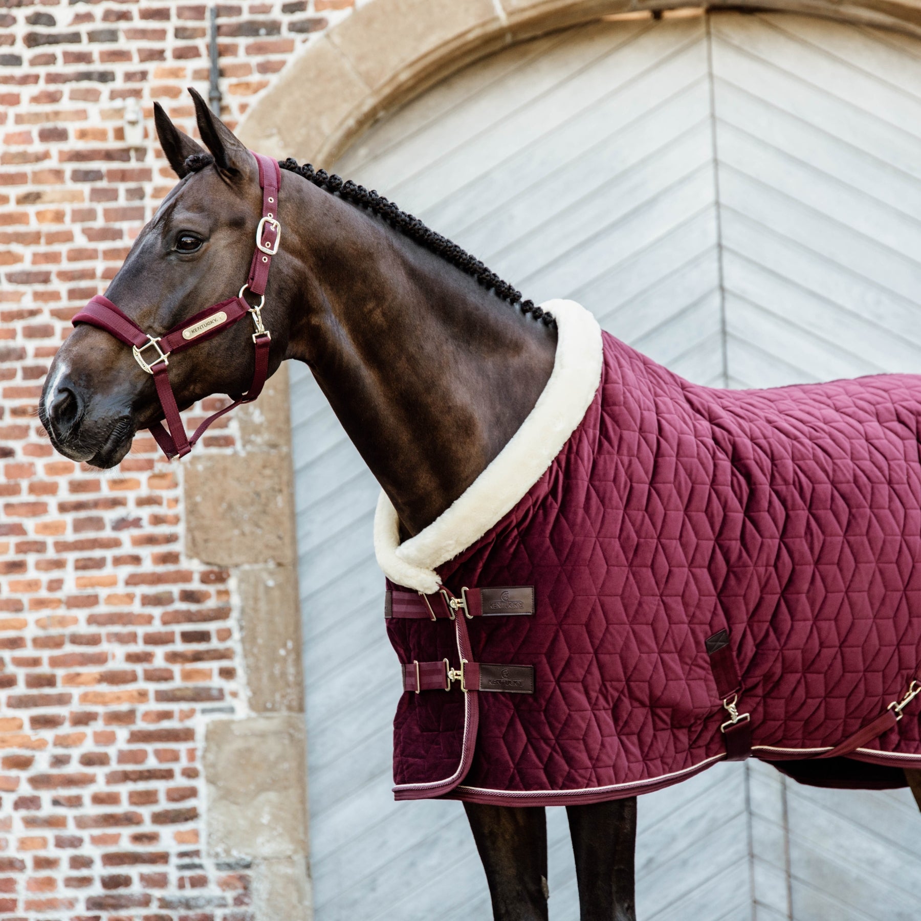 Kentucky Horsewear Show Rug Velvet 160g, Bordeaux