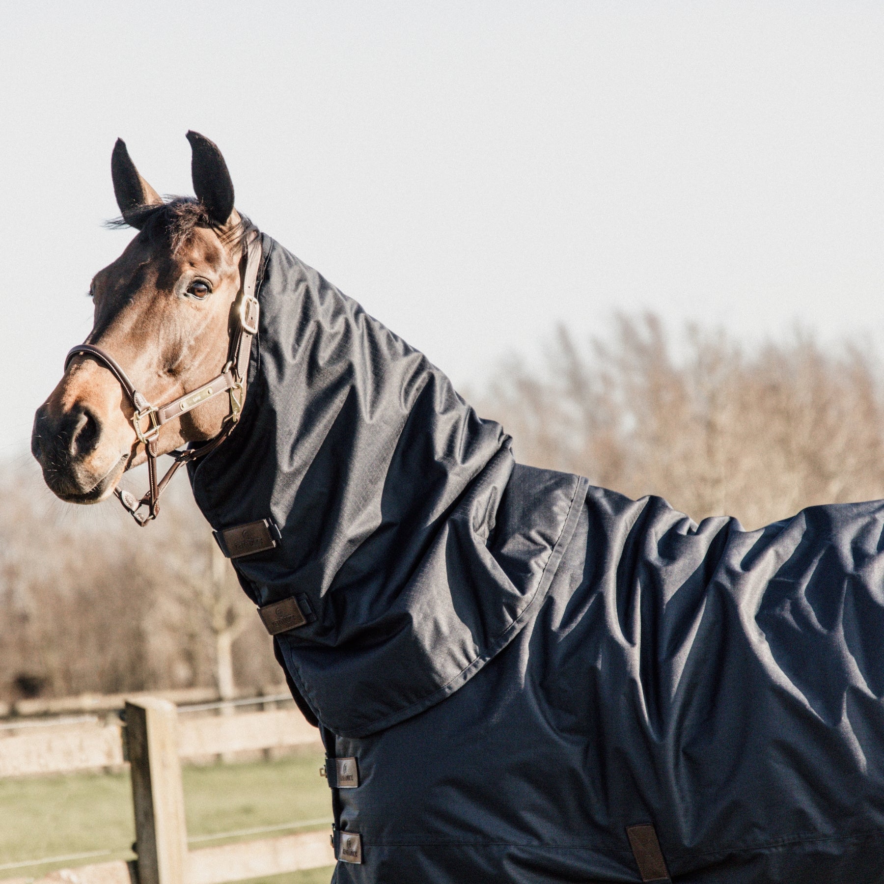 Kentucky Horsewear Turnout Rug All Weather Waterproof Classic, Navy