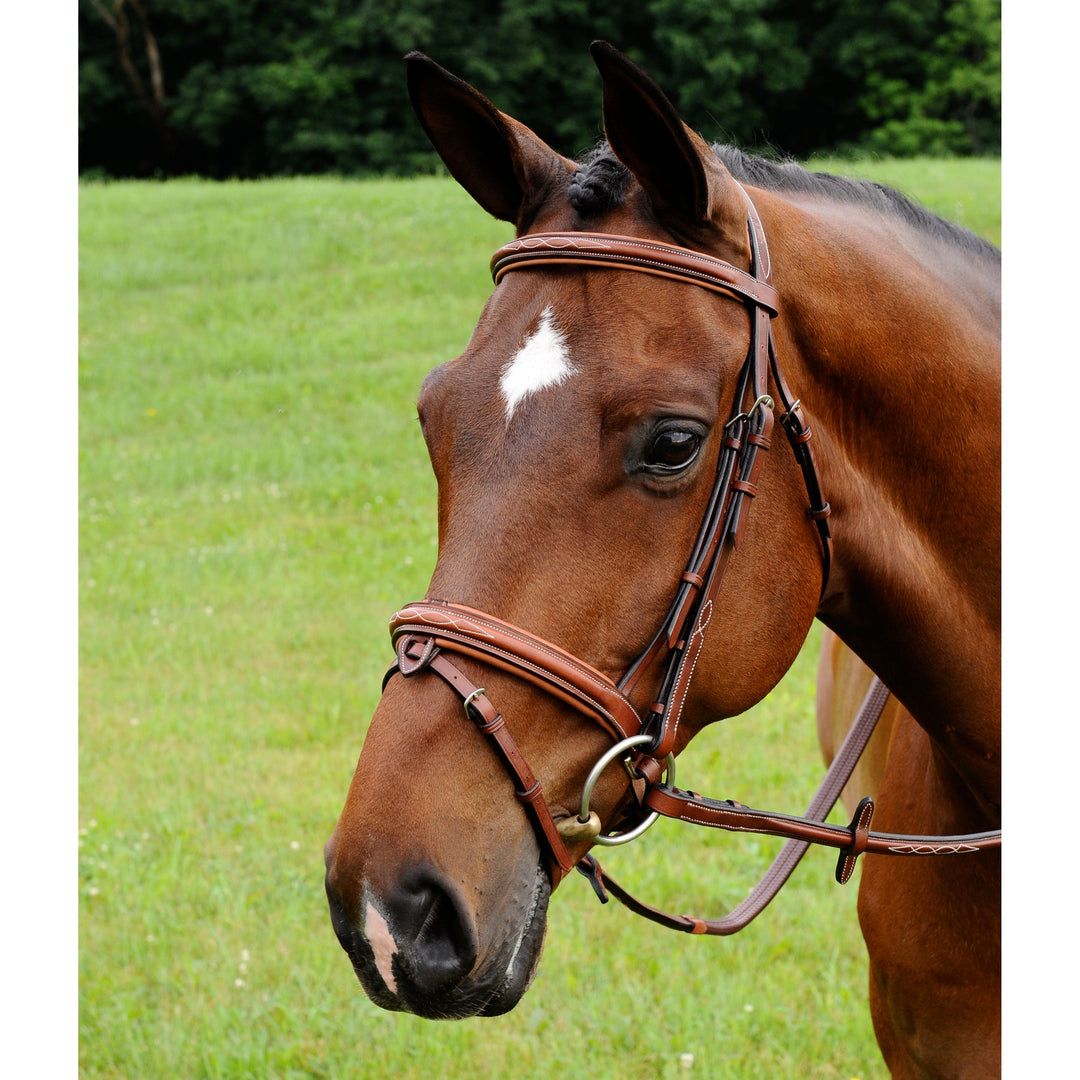 ADT Tack Starman Bridle With Reins, Brown