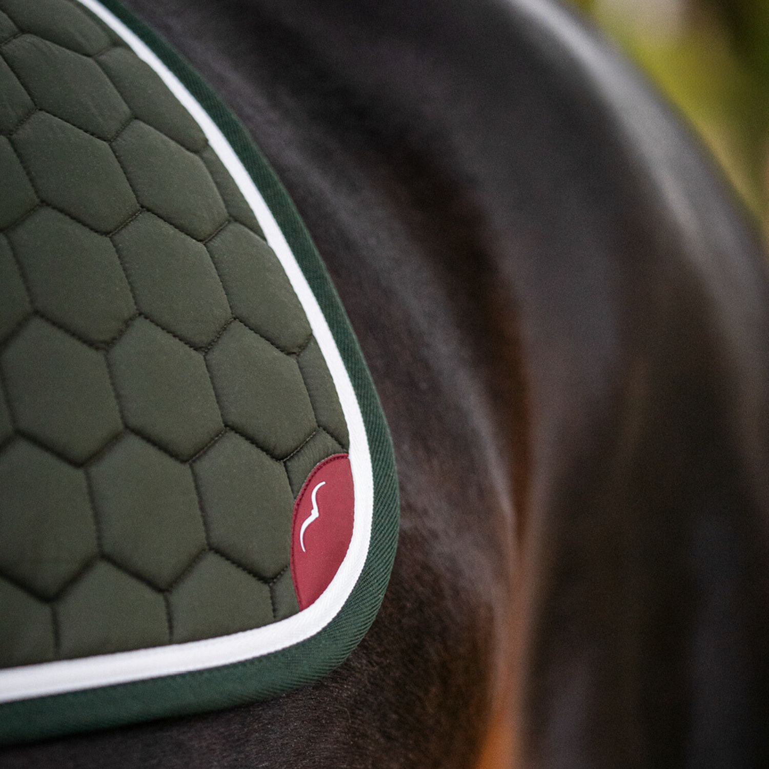 Animo Italia Whelsy Saddle Pad Jumping, Green