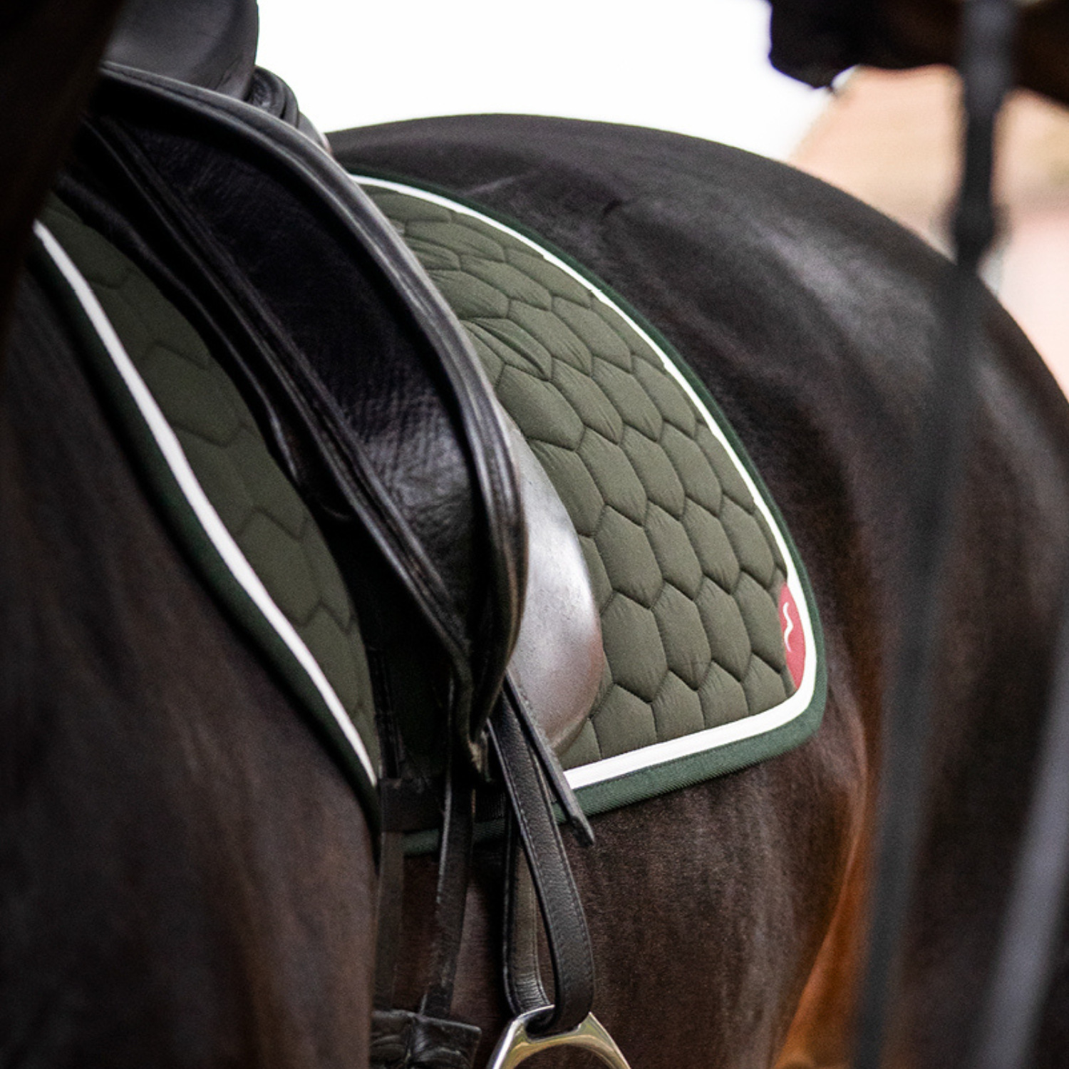 Animo Italia Whelsy Saddle Pad Jumping, Green